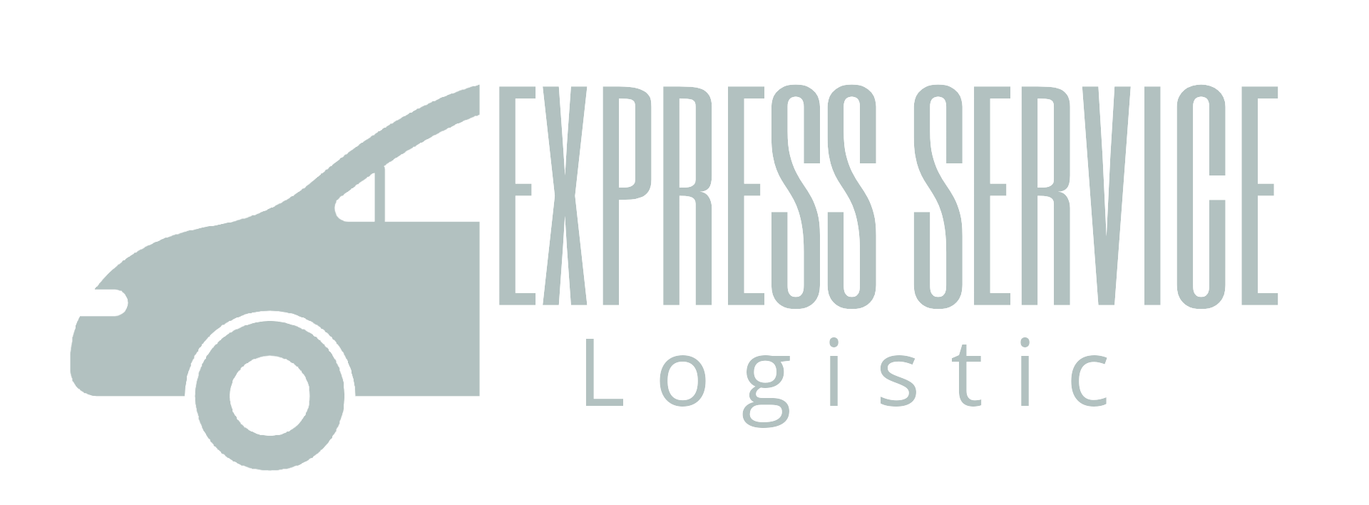 Safe Global Delivery Company Logo